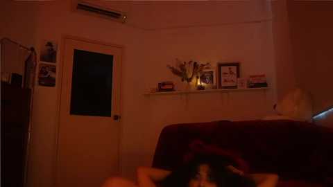 Video of a dimly lit bedroom with a red bedspread, white shelf with framed photos and vases, a closed white door, and a dark window.