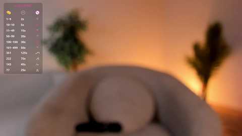 Blurred video of a naked person lying face down on a bed, with a warm, dimly lit room in the background featuring a potted plant and a soft glow from a lamp.