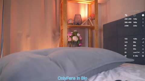 Video of a cozy bedroom corner with a wooden shelf holding flowers and a candle, a black TV, and a soft, light gray pillow in the foreground.