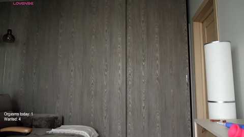 Video of a modern, minimalist bedroom with a gray, wood-grain closet door, a white cylindrical lamp on a wooden nightstand, and a gray couch with a patterned throw.