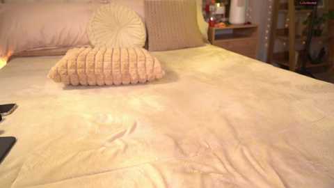 Video of a neatly made bed with beige sheets, a small round pillow, and a textured beige cushion. The background features a wooden nightstand with a lamp, books, and a plant.