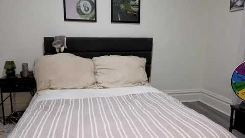 Video of a modern bedroom with a black headboard, beige pillows, and a striped grey-and-white duvet. Framed artwork hangs above the bed, and a colorful rainbow light bulb decorates the corner.