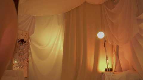 Video of a cozy bedroom with soft, golden-yellow curtains draped around a canopy bed, a glowing white lamp on a nightstand, and a decorative frame with colorful artwork on the wall.