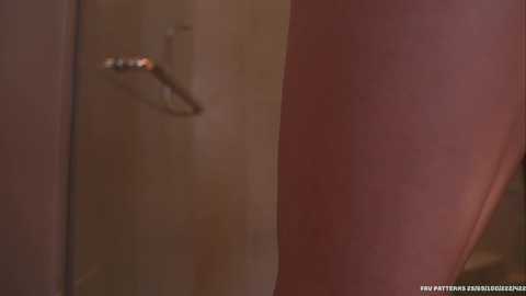 A video showing a close-up of a wooden door with a shiny brass doorknob, blurred background, and a watermark reading \"Patreon.com/BLASSEY\".