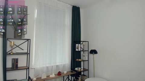 Video of a modern, minimalist room with a large window, sheer white curtains, dark green floor-length curtains, black metal bookshelf, and a black floor lamp.