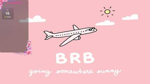 A digital illustration with a pink background featuring a white airplane, a sun, and two clouds. The text \"going somewhere sunny\" and \"BRB\" is prominently displayed.