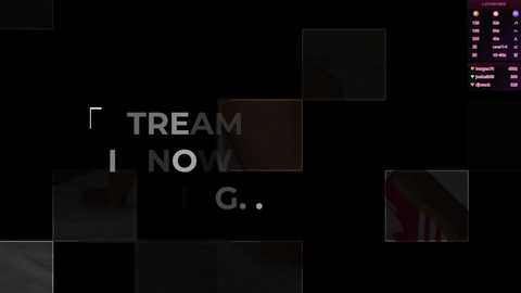 A digital screenshot of a Twitch stream with a dark background. Text reads \"TEAM NOW G...,\" overlaid by a blurred image of a person. A chat window in the top right displays names and messages.