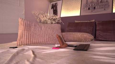 A video of a minimalist bedroom with lavender walls and white blinds. The bed features two large, textured pink pillows, a wooden dildo, a pink vibrator, and a black keyboard. Three framed monochrome cityscape photos hang above.