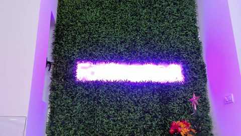Video of a modern wall featuring a vibrant green, artificial grass panel with a glowing white rectangular light fixture. Below the light, a small bouquet of colorful flowers rests on a white shelf. The background is softly lit in purple hues.