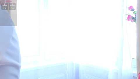 A bright, minimalist bathroom scene with a white bathtub, sheer curtains, and a vase of pink flowers on the right. The image is clean and serene, emphasizing soft, pastel colors.