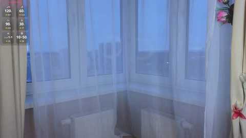 Media: Video of a corner room with white sheer curtains, white walls, and a white radiator. The room is well-lit, and the background shows a blue sky outside the window.