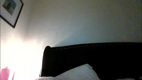 Video of a dark, tufted headboard in a dimly lit bedroom, partially illuminated by a soft, warm light. A framed picture hangs on the beige wall above the headboard.