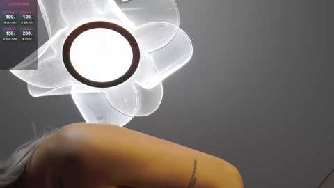 Video of a modern, transparent ceiling fan with a white light bulb, mounted on a grey wall. The fan's blades resemble a flower. The room has a minimalist, contemporary design.