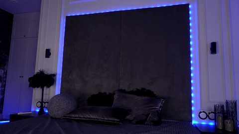 Video of a dimly-lit, modern living room with dark gray velvet curtains, blue LED strip lights, a plush gray couch, and a decorative feather on the floor.