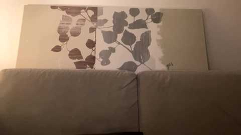 Video of a beige sofa with a large, framed artwork featuring a botanical design in muted tones of beige, gray, and brown, hung on a plain white wall.