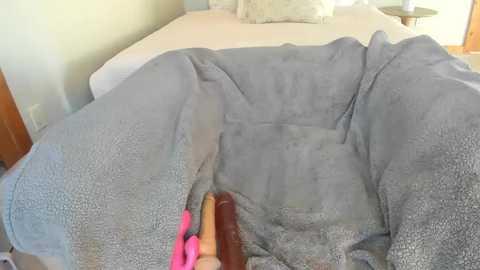 A video of a bed with a gray blanket, a stuffed animal, and a pink toy on the bedspread. The room has light walls and a wooden door in the background.