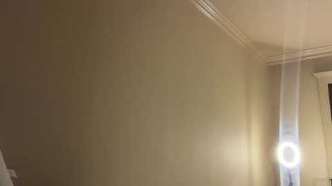 Video of a dimly lit room with beige walls, a white ceiling, and a bright, round light source emitting a strong glare on the right side.