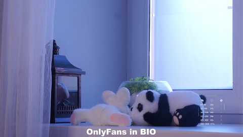 Video of a plush panda bear lying on a windowsill next to a white lantern and a small plant, with a blue and white curtain in the background.
