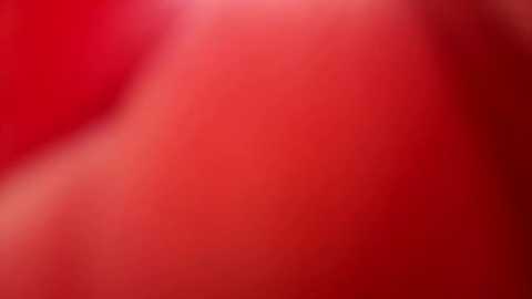 The image is a blurred, abstract video featuring vibrant red hues with soft, swirling textures, creating a sense of movement and depth. The lack of distinct shapes or objects makes it purely a study of color and form.