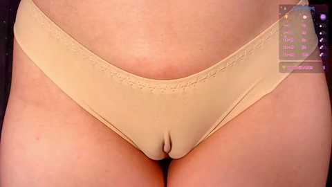 A video of a close-up of a light-skinned woman's abdomen and lower torso, wearing beige, lacy-edged panties. The background is blurred with a digital overlay of a virtual interface displaying text and icons.