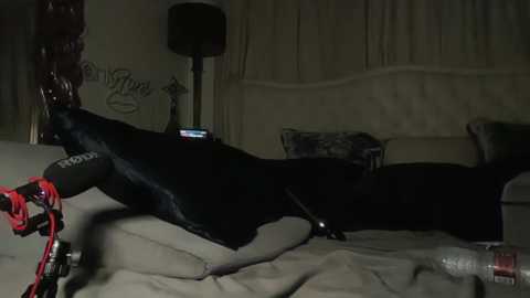 A video of a black dog sleeping on a beige couch in a dimly lit living room, with a red leash, a baseball bat, and a TV remote on the floor.