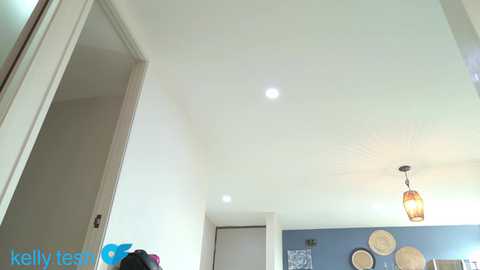 Video of a modern, well-lit hallway with white walls, recessed lights, and a blue accent wall. A pendant light hangs from the ceiling, and decorative plates adorn the blue wall.