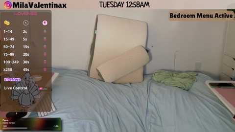Video of a bed with a beige cushion and green clothes, set in a dimly lit bedroom. The image is overlaid with a LiveControl video feed and time display.