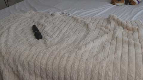 Video of a beige, textured blanket with a black vibrator placed on it, laying on a white bed with a stuffed animal in the background.