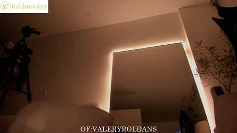 Video of a dimly lit room with a large, bright rectangle of light on the wall, possibly from a window or door. A camera on a tripod is visible on the left, and the text \"OF VALLEBRZYDOLANS\" is at the bottom.