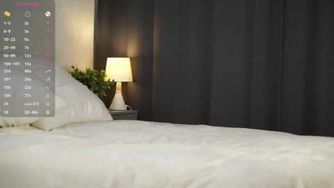 Video of a modern bedroom with a neatly made white bed, a dark gray curtain, and a nightstand with a white lamp and green leafy plant.