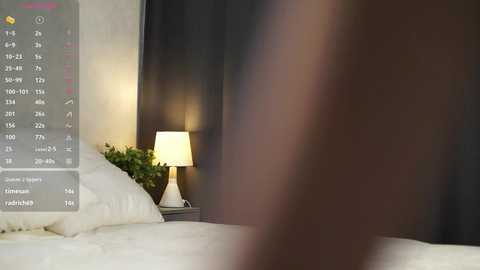 Video of a modern bedroom with a bed covered in white sheets, a dark curtain, and a white lamp on a nightstand; partially blurred human figure in the foreground.