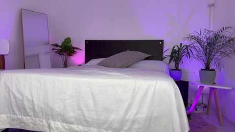 A video of a minimalist bedroom with a white bed, black headboard, and a green plant on the left. A white table with a potted plant stands on the right, and the wall is illuminated with purple lighting.