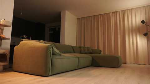 Video of a cozy living room with a beige sectional sofa, beige curtains, wooden floor, and a black cat scratching post in the corner.