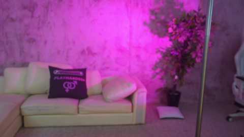Media: Video of a dimly lit room with pink lighting. A beige sofa with a black pillow featuring gender symbols. Potted plant and open book on the floor.