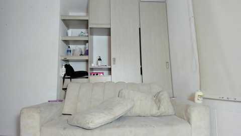 A video of a minimalist, light-colored living room with a beige sofa, a black cat, a white wardrobe, and a white wall.