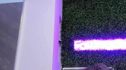 Video of a modern room with a white wall, a green fake grass wall, and a glowing purple neon sign. The scene is well-lit, giving a vibrant, futuristic ambiance.