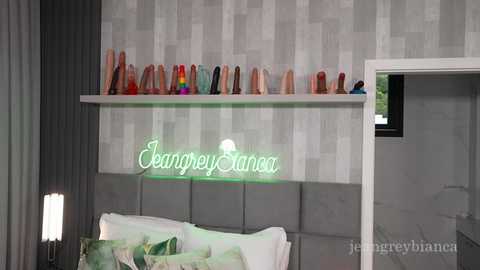 Video of a modern bedroom with a grey padded headboard, neon \"Jemalene Sana\" sign, grey and white geometric-patterned wallpaper, colorful dildo collection on floating shelves, and a partially open door revealing a bathroom.