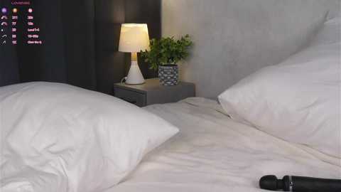 Video of a modern bedroom with white bedding, a grey nightstand, a potted plant, and a lit lamp.