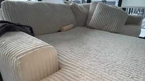 Video of a beige, ribbed fabric sectional sofa with large, square cushions, set in a modern, well-lit room with large windows and a white railing in the background.
