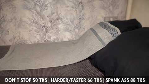 Video of a bed with a beige, patterned headboard, featuring a gray, textured throw pillow and a black, smooth pillow. Text overlay reads: \"Don't stop 50 TKS, I harder, faster 66 TKS, SPANK ASS 88 TKS.\