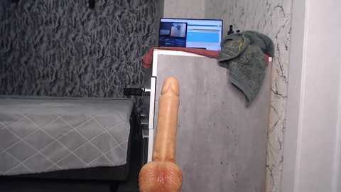 Video of a realistic, life-sized, tan-colored dildo standing upright on a grey, textured wall next to a laptop and green sweater.