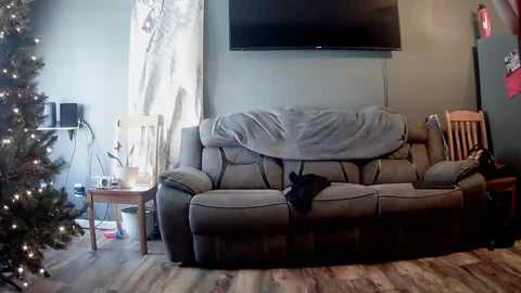 A video of a cozy living room with a beige sectional sofa, a small Christmas tree, a wooden coffee table, and a flat-screen TV on the wall. A black dog sits on the sofa.