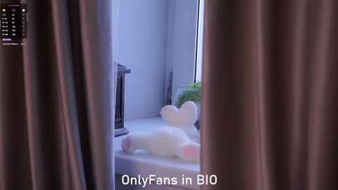 Video of a window with white curtains and a fluffy white bear, set against a light blue wall. Text at the bottom reads \"OnlyFans in BIO.\