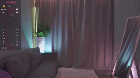 Video of a dimly lit living room with a gray sofa, white fluffy rug, and sheer pink curtains. A green potted plant and a clock display are visible.