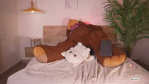 bella__donne free recording from 2025-12-05 00:25:00