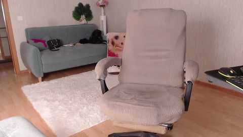 foxydiamond2020 free recording from 2025-12-05 00:01:00