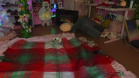 Video of a cozy, cluttered room with a red and green plaid blanket on a wooden floor, toys, stuffed animals, and a green vase with flowers.