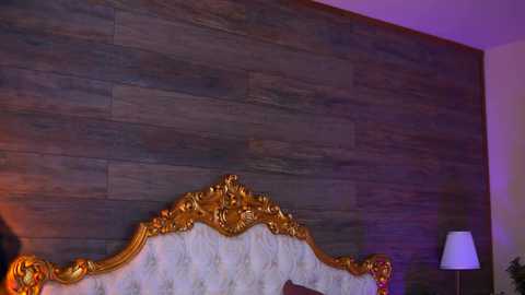 Video of a luxurious bedroom with an ornate, gold-accented headboard against a dark, wooden panel wall. A bedside table with a white lamp and a potted plant is visible.