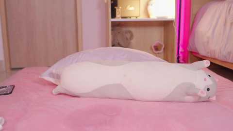 Video of a plush, white, cartoonish cat-shaped pillow on a pink bedspread, in a bedroom with wooden furniture, a laptop, and a pink bed curtain.