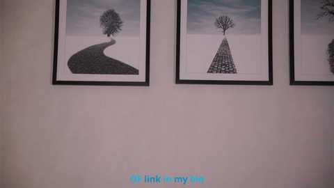 Video of three framed black-and-white minimalist art prints on a white wall, each featuring solitary trees in snow. Text beneath reads, \"I think about my life.\